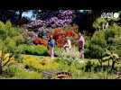 Les Jardins des Renaudies rouvrent au public en Mayenne