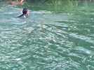 Un Marnais sauve un chevreuil de la noyade à Tours-sur-Marne