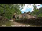 Zoom : les gorges du Tarn à l'état sauvage