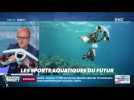 La chronique d'Anthony Morel : Les sports aquatiques du futur - 06/07