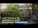 Le calcul du crédit d'impôt pour travaux de jardinage