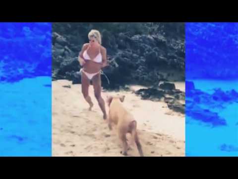 VIDEO : Bahamas : Ce mannequin pensait ces animaux gentils mais se fait agresser par l?un d?eux