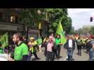 Manifestation contre MonSanto accompagnée de gilets jaunes à Lille