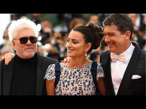 VIDEO : Penelope Cruz, Antonio Banderas Reunite On Cannes Red Carpet