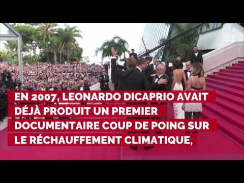 VIDEO : Cannes 2019, jour 10 : les confidences de Sara Forestier sur Léa Seydoux, le documentaire éc