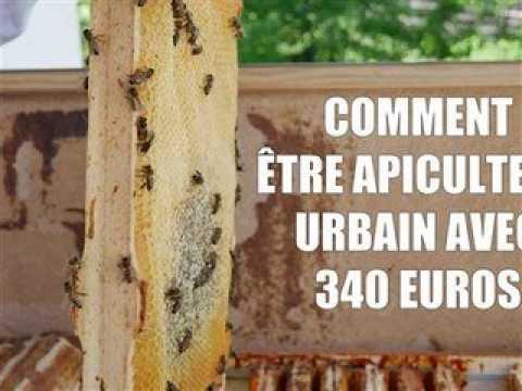 VIDEO : Des botes d'abeilles sur les balcons  Berlin