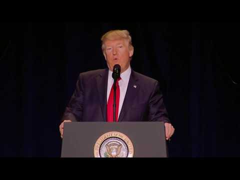 VIDEO : Trumps Series 'Apprentice To Air On Tubi And MGM