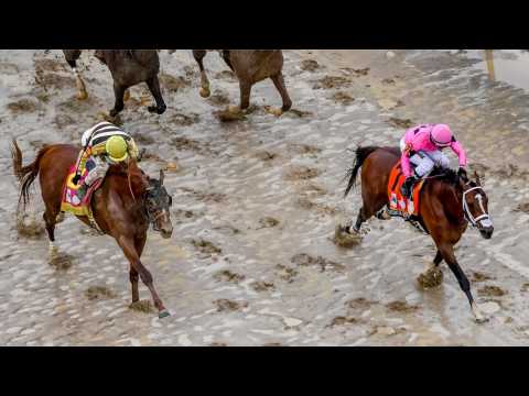 VIDEO : Kentucky Derby Winner Won't Run In Preakness Race
