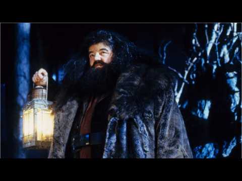VIDEO : UK Family Wants Hogwarts Professor To Tutor Their Kid
