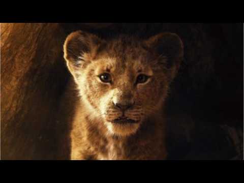 VIDEO : Is The Upcoming Remake Of 'The Lion King' Really Live Action?