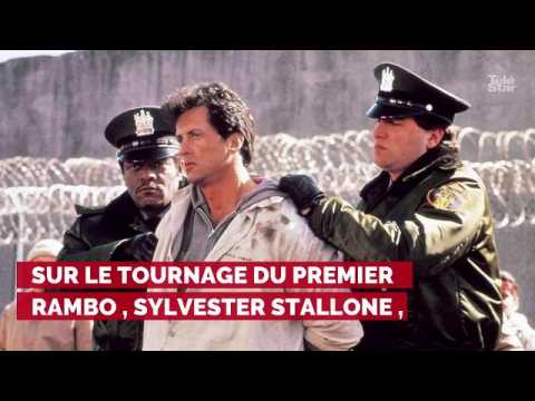 VIDEO : PHOTOS. De Rambo  Rambo 5 : retour sur la transformation physique de Sylvester Stallone
