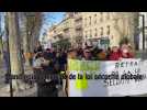 Manifestation contre la loi sécurité globale à Narbonne