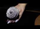 Inde : une bague sertie de 12.638 diamants au Guinness mondial des records
