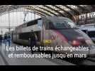 Covid-19 : les billets de trains restent échangeables et remboursables jusqu'en mars