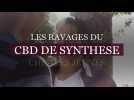 Le CBD de synthèse fait des ravages chez les élèves de la région