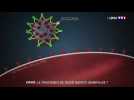 Anticorps monoclonaux : un traitement prometteur contre le Covid-19