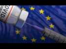 L'Agence européenne du médicament va rendre son avis sur le vaccin Pfizer-BioNTech