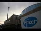 Puurs (Belgique): la ville où Pfizer produit le vaccin anti Covid