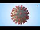 Rétrospective 2020 : une année sous le signe du coronavirus