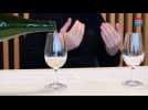 Reporter en Champagne: les assemblages