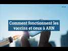Comment fonctionnent les vaccins et ceux à ARN ?