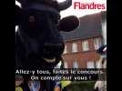 Bergues : le concours du Cri de la vache aura quand même lieu