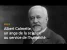 Lille : Albert Calmette, un ange de la science au service de l'humanité