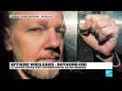 Affaire WikiLeaks : la justice britannique va statuer sur l'extradition de Julian Assange