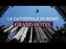 La cathédrale de Reims, grand hôtel pour les oiseaux