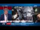 Nicolas Poincaré : Julian Assange bientôt libre ? - 05/01