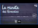 La minute des Girondins : la tuile Ben Arfa et le mercato