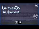 La minute des Girondins : reprise de la Ligue 1, Toma Basic animateur du mercato ?