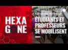 VIDÉO. Grève dans l'Éducation : Les étudiants et professeurs dénoncent leurs conditions