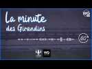 La minute des Girondins : J-5 avant la fin du mercato