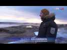 À la découverte des geysers et des cascades de glaces islandais
