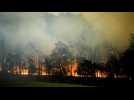 Les incendies repartent à l'assaut de l'Australie