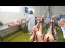 Grippe aviaire : toute une filière décimée