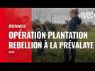 Rennes. Opération plantation rebellion sur le site de la Prévalaye avec 500 arbres plantés