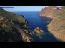 En Corse, la réserve naturelle de la Scandola perd son label européen