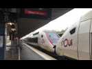 Arras : un TGV évacué en raison d'un bagage abandonné