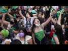 Argentine : feu vert des députés pour légaliser l'avortement