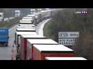 Brexit : des fils de camions créent des embouteillages interminables sur l'autoroute A16