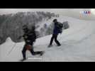 Neige : risque très élevé d'avalanches dans les Vosges, un skieur disparu