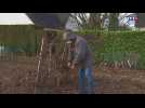 Les jardiniers trouvent quand même de quoi s'occuper même en hiver
