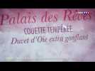 Duvet ou synthétique : comment bien choisir sa couette ?