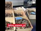 Marché de Noël gourmand à Falaise