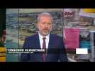 Lutte contre l'urgence climatique : les nouveaux rebelles