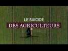 Le suicide des agriculteurs en chiffres