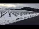 Neige dans les Pyrénées-Orientales