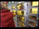 A Herlies, Marion, maraîchère, vend aussi ses légumes grâce à des distributeurs automatiques